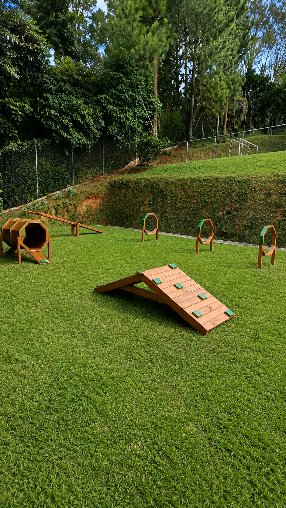 Circuito canino en madera sobre césped